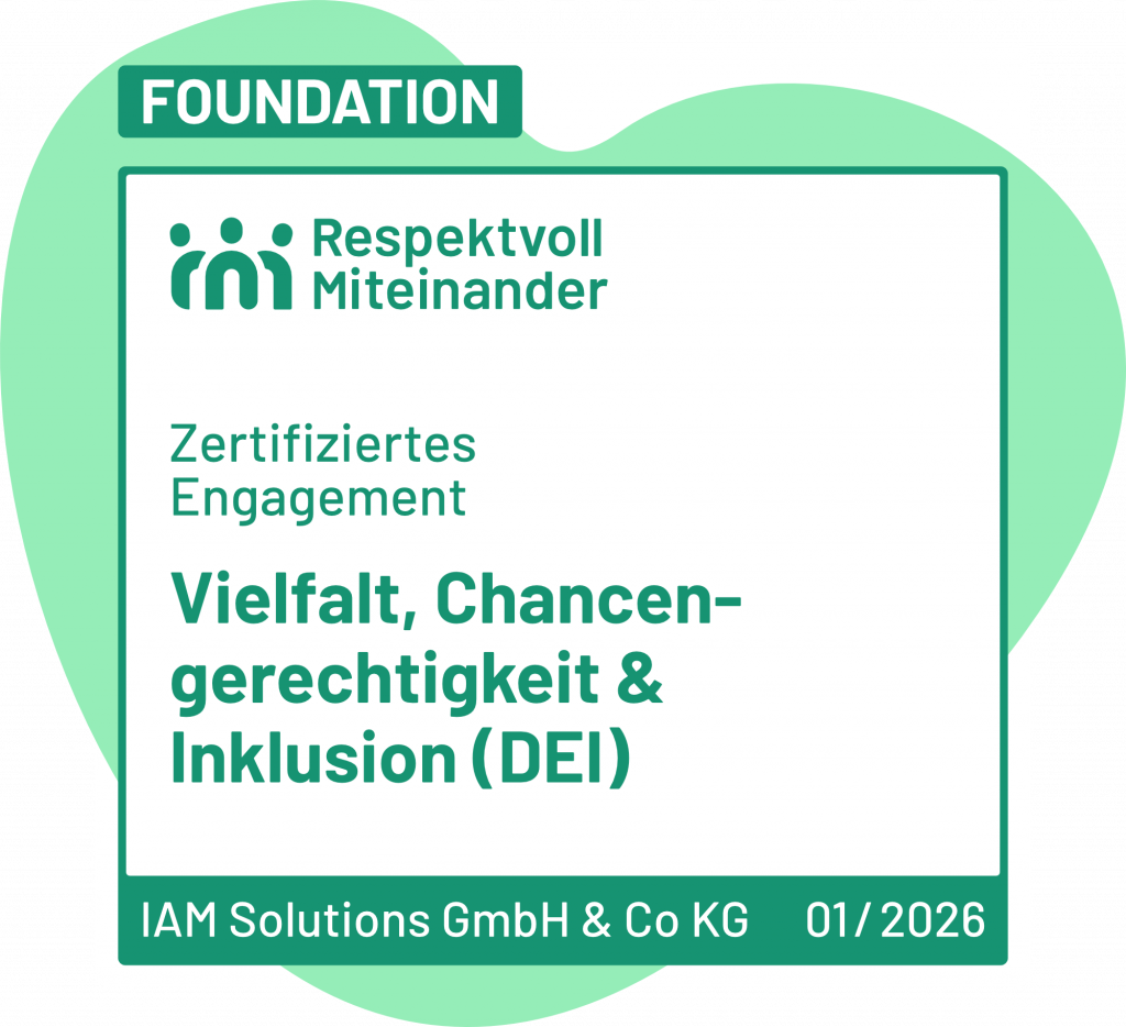 IAM Solutions DEI Foundation 01 2026